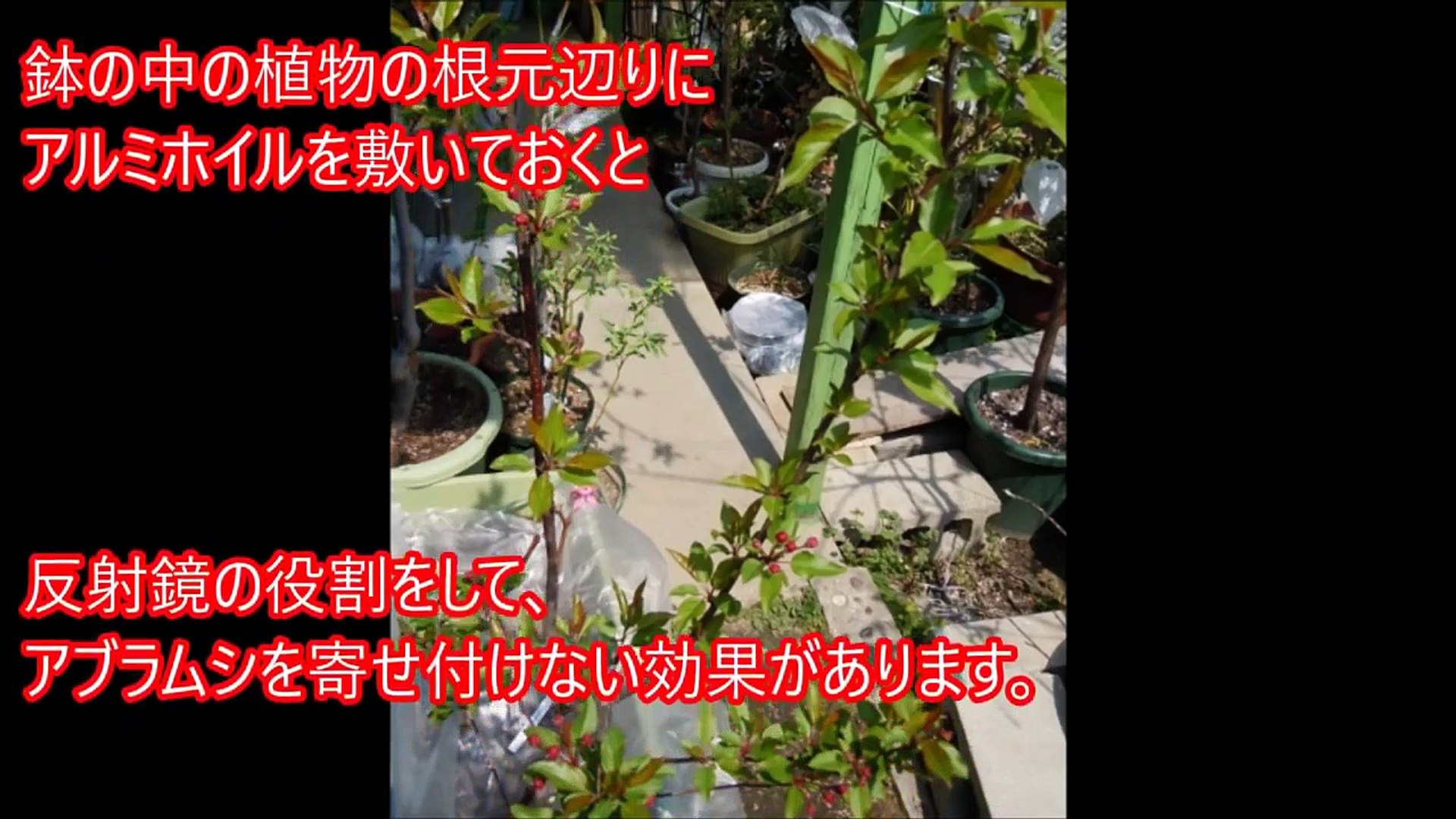 衝撃 試してみ アルミホイルの効果が神すぎる件www 目からウロコ便利すぎるアルミホイルのこんな使い方知ってた Video Dailymotion