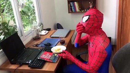 Homem Aranha desenho animado em Portugues novo