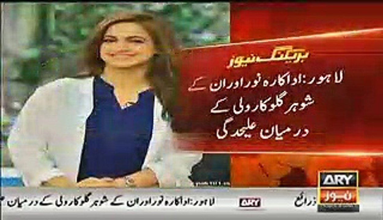 Noor Bukhari Exclusive Talk With ARY News