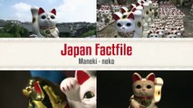 Mèo thần tài Nhật Bản Maneki Neko