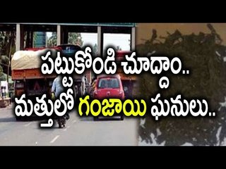 Chintalapudi Mandal : Ganja Smuggling Increasing in AP - Oneindia Telugu