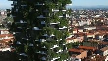 l'innovation du jour : VERTICAL FOREST