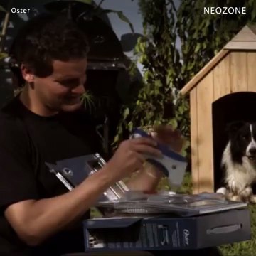 l'innovation du jour : la douchette pour chien avec shampoing incorporé