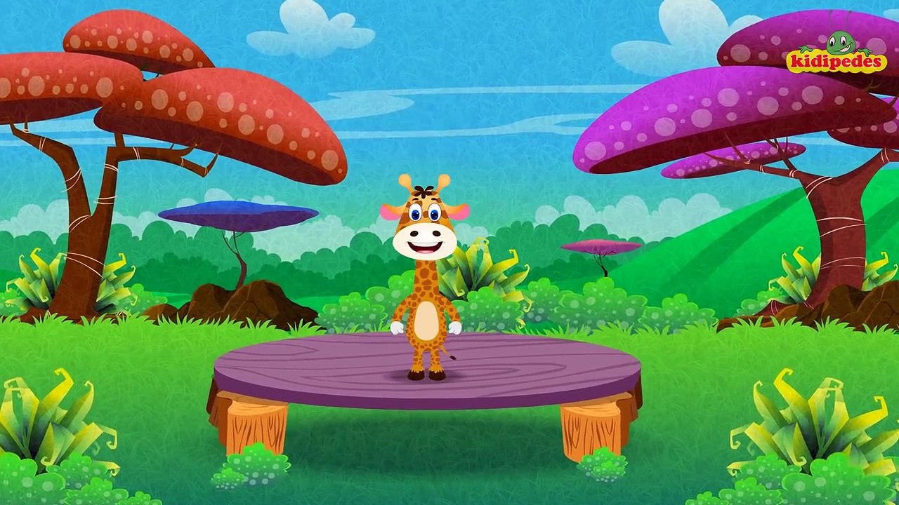 Baby Bao panda | five little ducks went swimming one day | baby songs | 3d rhymes