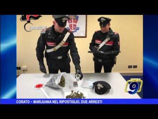 Corato | Marijuana nel ripostiglio, due arresti