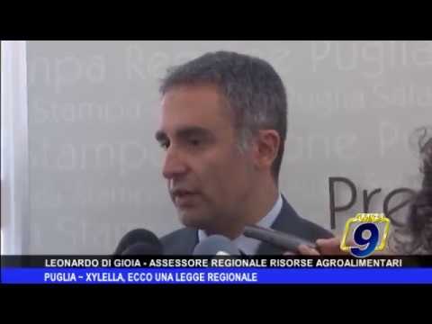 Puglia | Xylella, ecco la legge regionale