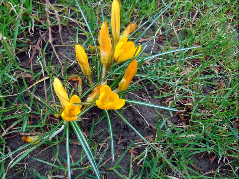 Din păcate, absent arata Iașiul la 99 de ani de la Unirea Basarabiei cu Patria Mamă, România