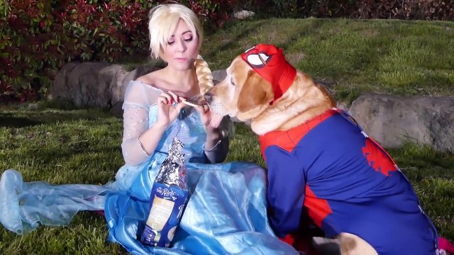 Spiderman vs Frozen Elsa Prank Challenge, Joker Poo and Fart Fun Superheroes Movie In real
