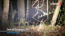 Forêt de Compiègne : relevé nocturne des cervidés avec l'ONF