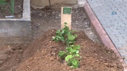 Baba ve Oğul Hayatını Kaybetti, Annenin Tedavisi Sürüyor