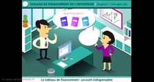 P21 : Tableau de financement de l'entreprise - M211 : Tableau de financement