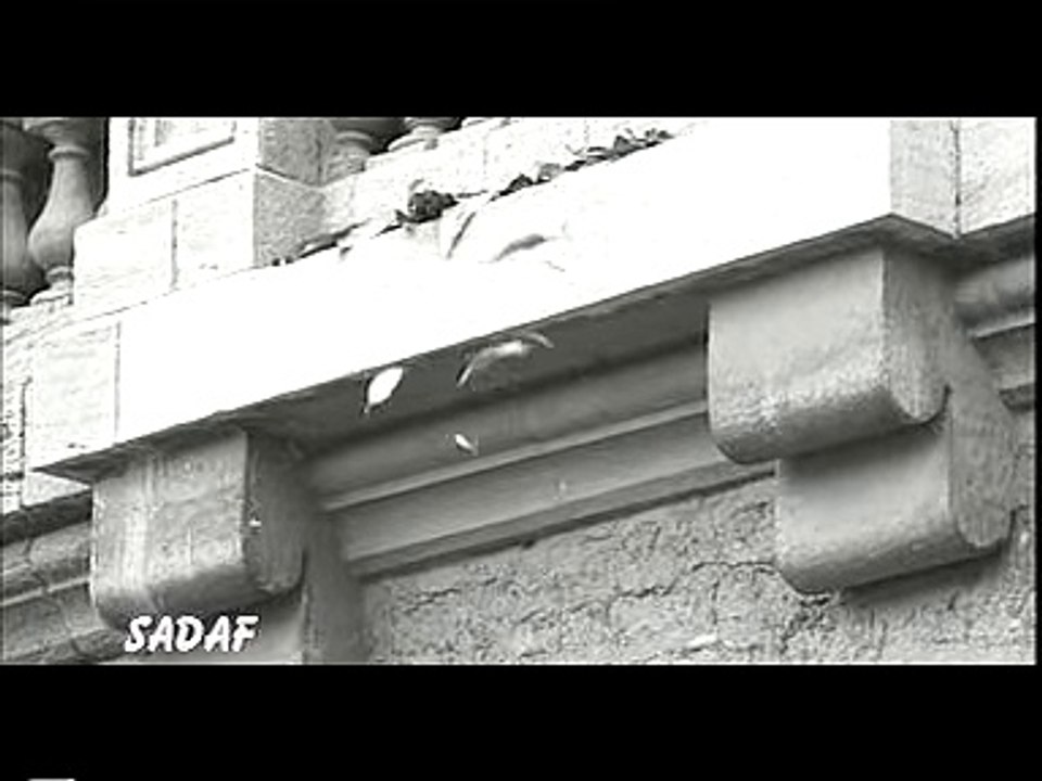 Vital Signs - Maula - YouTube