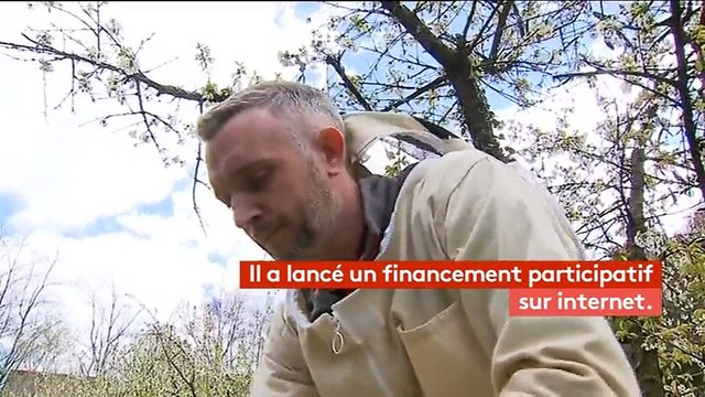 Environnement : sauver les abeilles en un clic