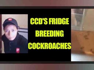 Jaipur cafe employee slaps customer for pointing cockroaches in fridge, Watch Video | Oneindia News