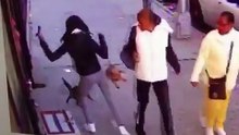 Un Chien en laisse se fait attaquer par un chat pas commode et sa maîtresse tente de le sauver