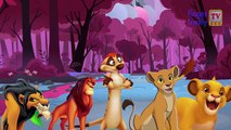 Lion King Cartoon Finger Family Rhyme for Children | Lion Finger Family Nursery Rhymes