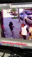 Une femme essaie de protéger son chien d'une attaque de chat