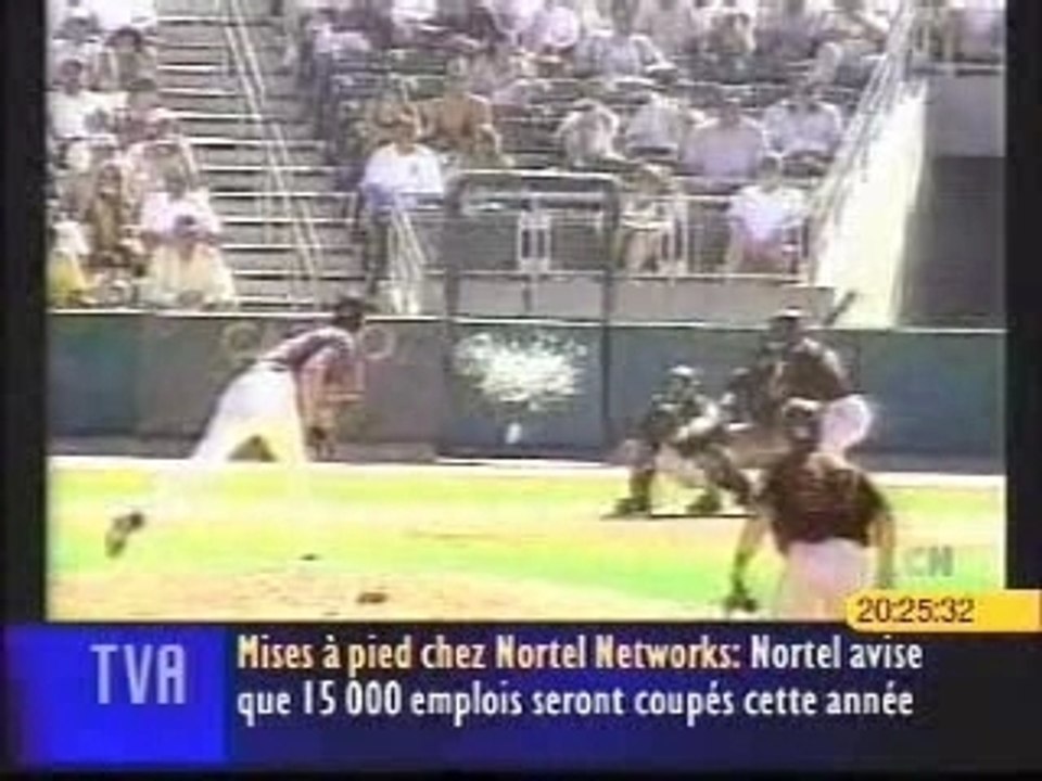 Incroyable pigeon