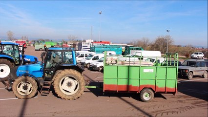 Vidéo concours bovin