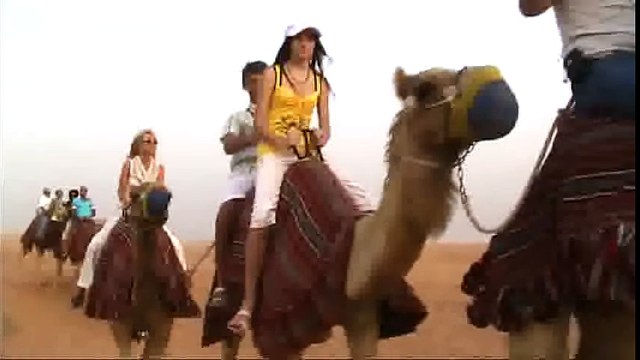 Desert Safari with Alpha Tours Dubai - Camel Ride