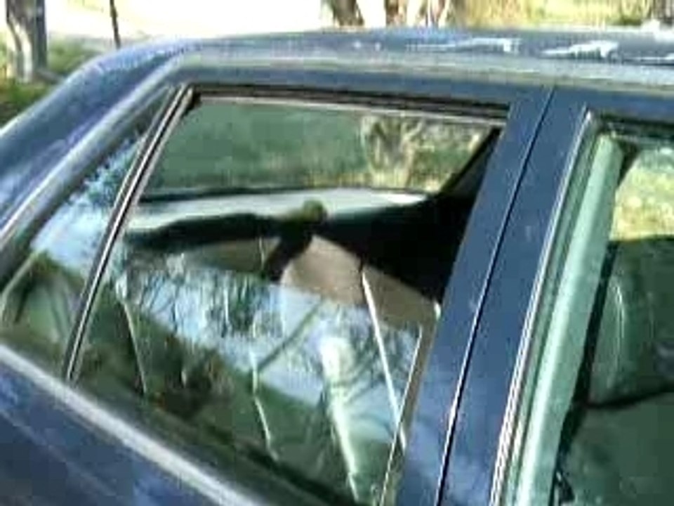 vitres électriques R25 TDX