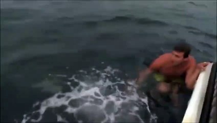 Ce nageur se fait attaquer par un requin monsterbuzz.fr