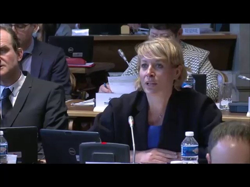 Nathalie KOENDERS. Soutien à l'artisanat. 27 mars 2017