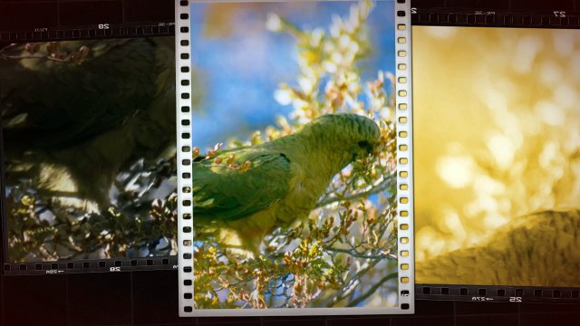 Torres del Paine National Park Tour
