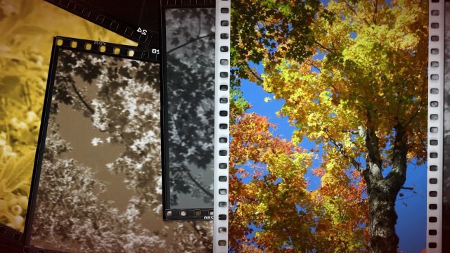 Algonquin Provincial Park Tour