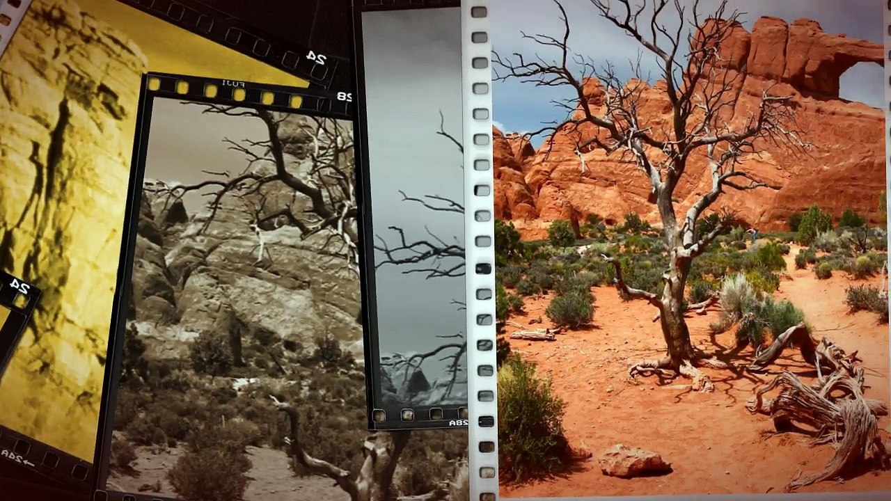 Arches National Park Tour