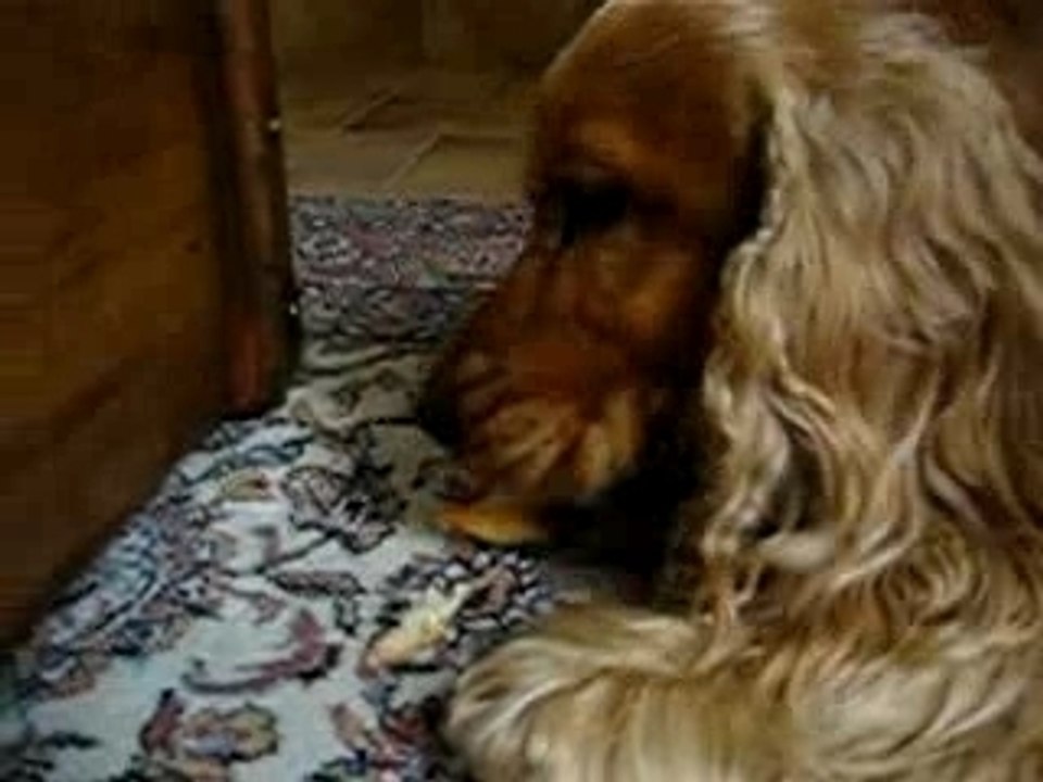 HUM C EST BON LE PAIN