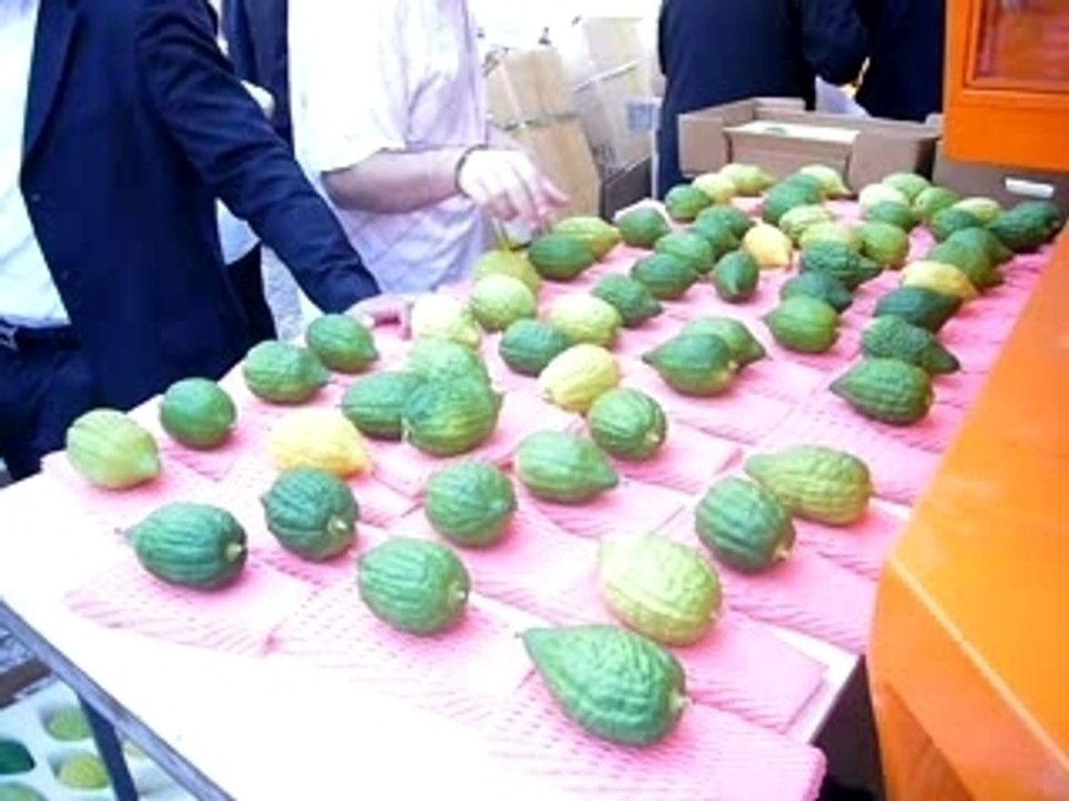 SUKKOT 1