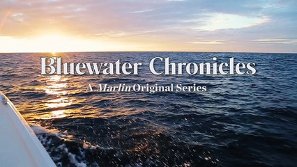 Bluewater Chronicles The Stunning Seychelles teaser