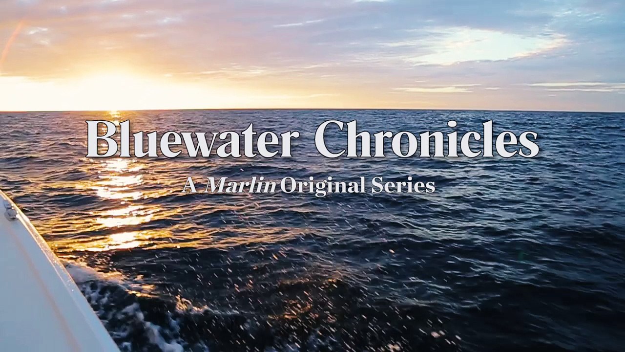 Bluewater Chronicles The Stunning Seychelles teaser