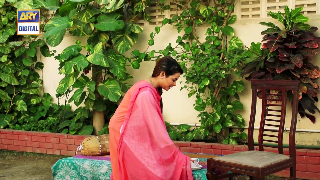 Watch Mein Mehru Hoon Episode 171 - on Ary Digital in High Quality 27th March 2017