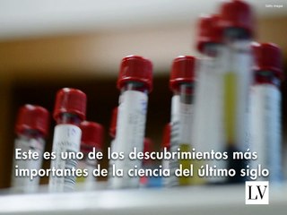 ¿Por qué existen los diferentes tipos de sangre?