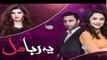 Yeh Raha Dil | Episode 7 | Full HD Video | Hum TV Drama | 27 March 2017