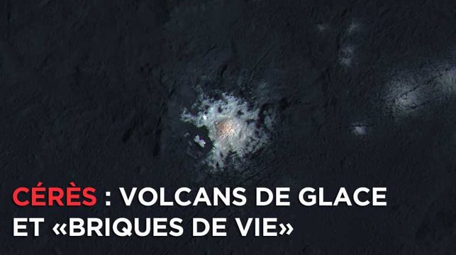 Découvrez Cérès, ses volcans de glace et ses briques de vie