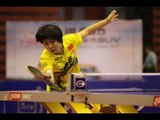 China Open 2013 Highlights: Li Xiaoxia vs Guo Yan (Final)
