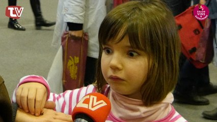 J'AI TESTÉ POUR VOUS... LE SALON DU VIN ET DE LA GASTRONOMIE À VANNES EN MARS 2017