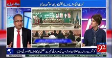PMLN & PPP Are Faking A Fight To Counter Imran Khan In Punjab:- Rauf Klasra