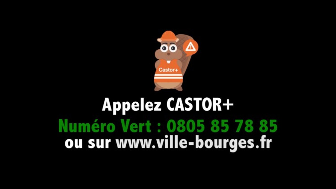 CASTOR+ UNE NOUVELLE APPLICATION CITOYENNE