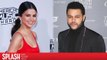 Selena Gomez Goes to Colombia to See The Weeknd