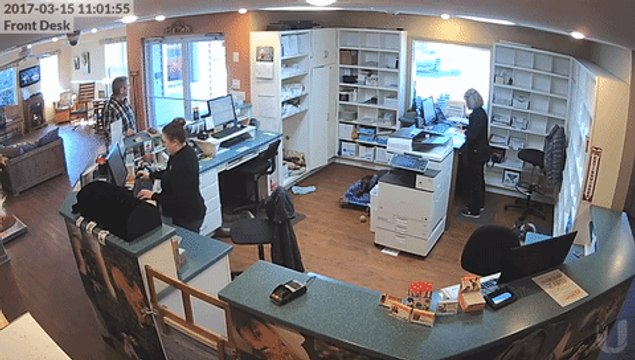 Staff and Pets Uninjured After Dramatic Car Crash Into Animal Clinic