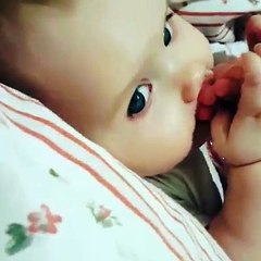 3 most cute videos ever must watch for more fun