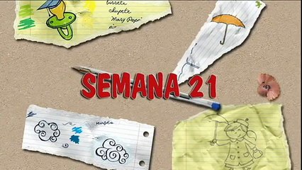MÉTODO DOMAN: CÓMO ENSEÑAR A LEER A SU BEBÉ. SEMANA 21. PRIMER AÑO.