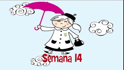 MÉTODO DOMAN:CÓMO ENSEÑAR A LEER A SU BEBÉ. SEMANA 14. PRIMER AÑO.