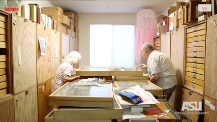 Un couple d'octogénaires fait don de sa collection d'un million d'insectes