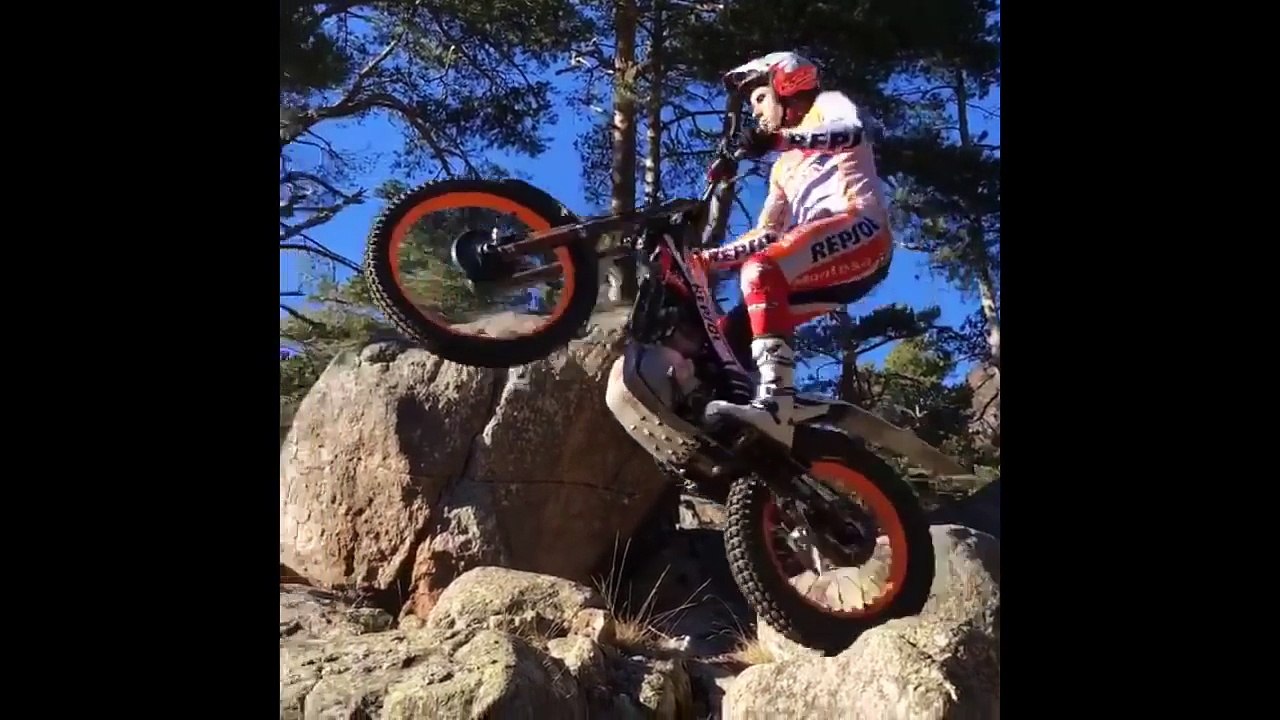 Ce pilote de Moto monte des arbres !