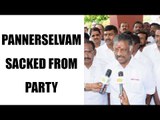 Sasikala  sacked Panneerselvam from AIADMK party : Watch video|Oneindia news